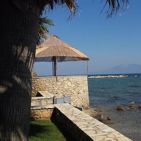 Palatia Caeli Kypseli