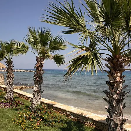 Palatia Caeli Kypseli